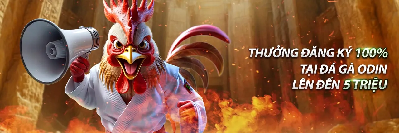 Sân vận động với trận đấu thể thao sôi động tại B52 Clup